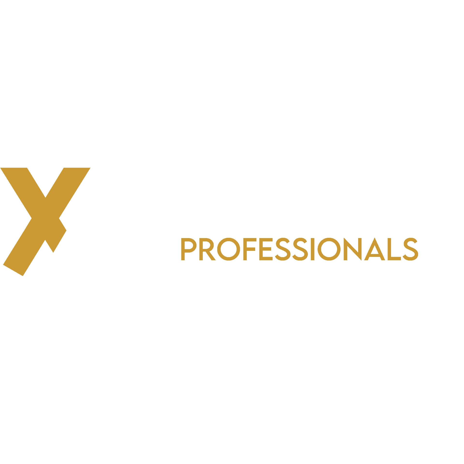 Exquisite Professionals Hub
